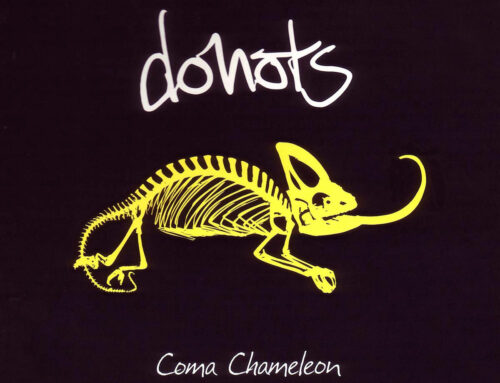 Donots – Coma Chameleon