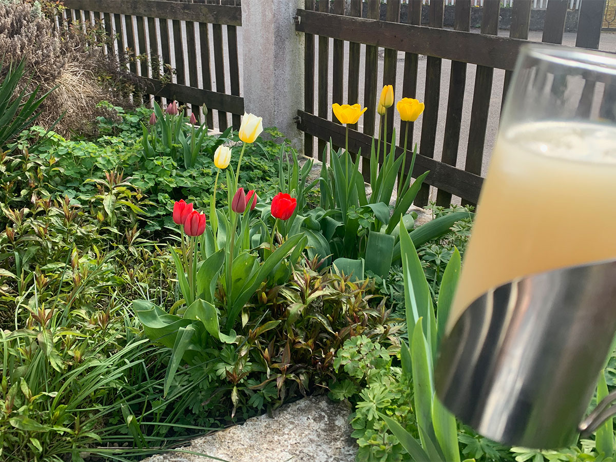 Im Garten Ricard trinken