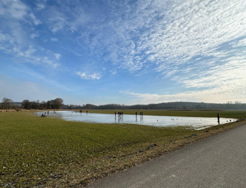 Kurze Wanderung zur Donau