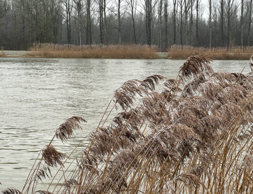 Donau-Wanderung