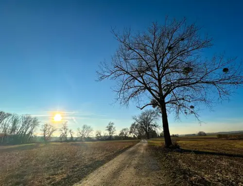 Erstes Training für den Megamarsch